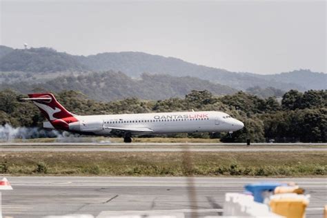 qantas flying with pets.